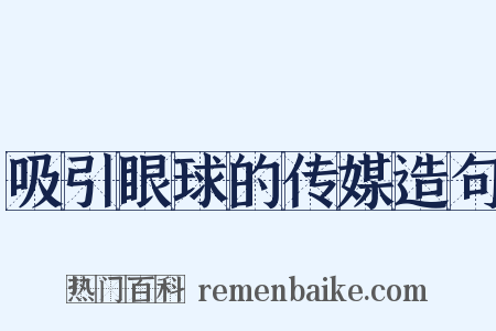 吸引眼球的传媒造句是什么意思的图片
